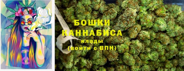 гидра Наволоки