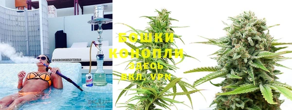 гидра Наволоки