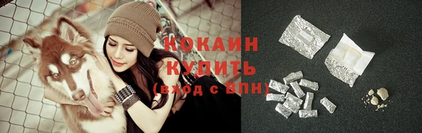 гидра Наволоки