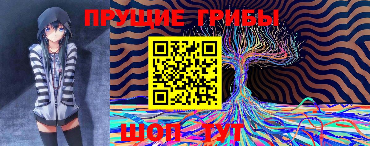 Галлюциногенные грибы Magic Shrooms Электросталь