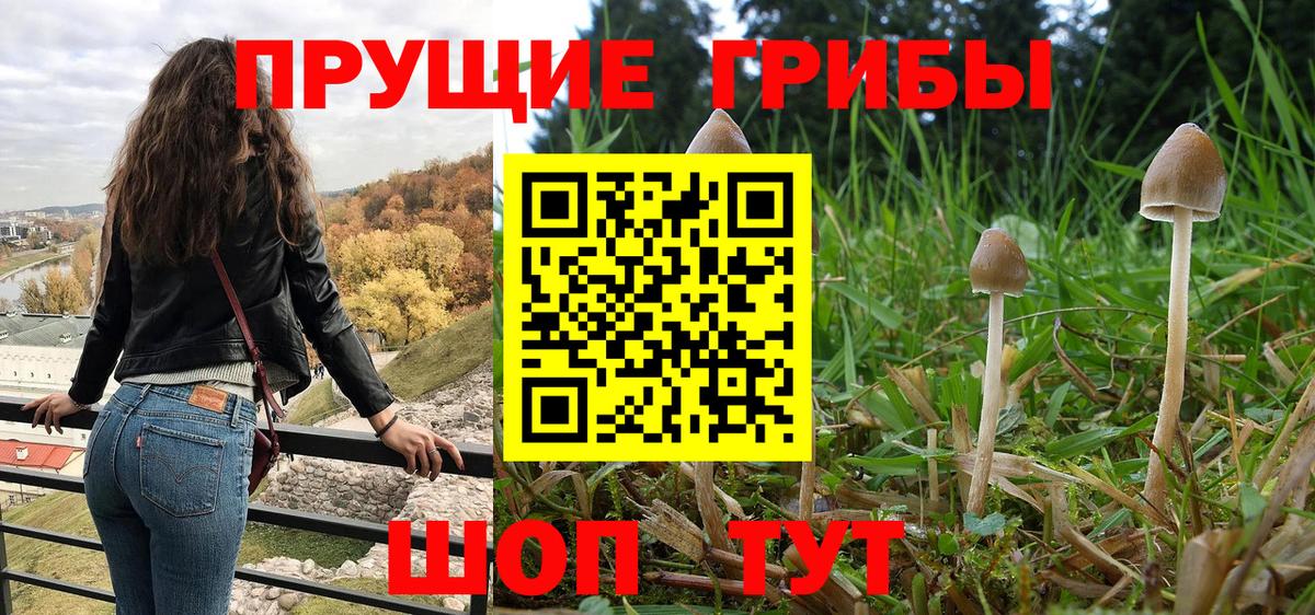 Электросталь  Галлюциногенные грибы мицелий  Вход с VPN 